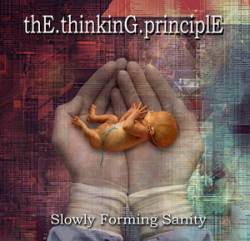 The Thinking Principle : Slowly Forming Sanity